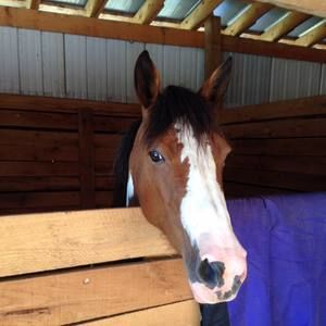 Meet your Posher, Sharon